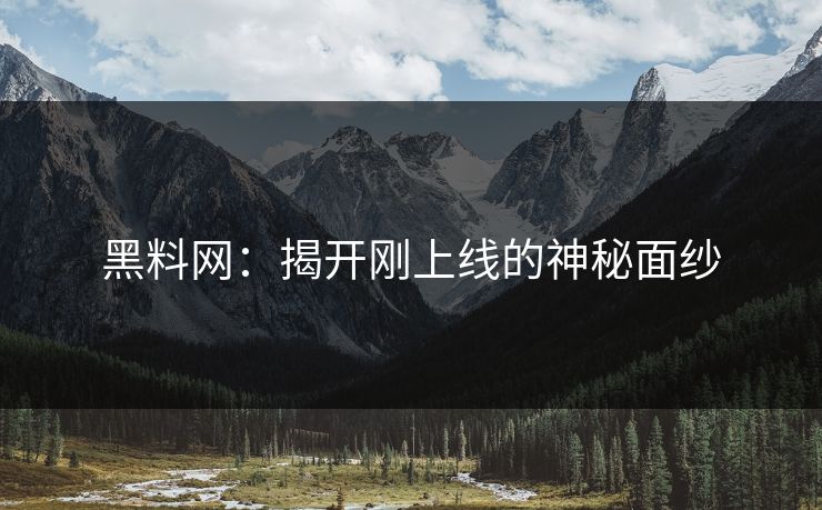黑料网：揭开刚上线的神秘面纱