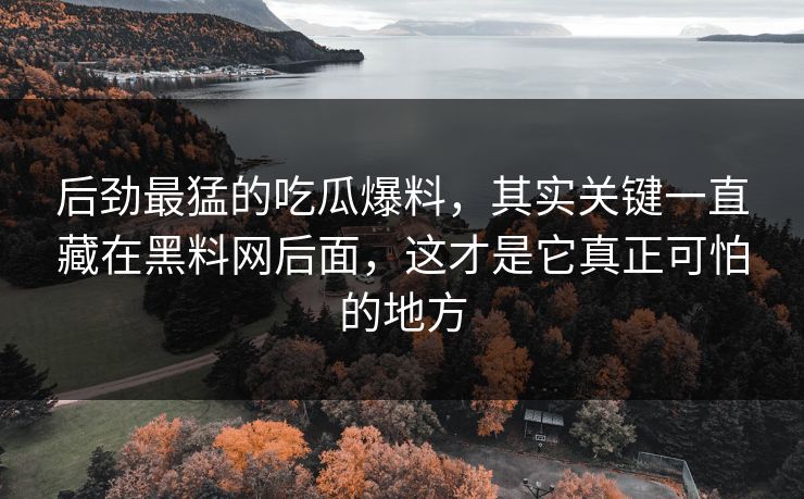 后劲最猛的吃瓜爆料，其实关键一直藏在黑料网后面，这才是它真正可怕的地方