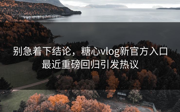 别急着下结论，糖心vlog新官方入口最近重磅回归引发热议