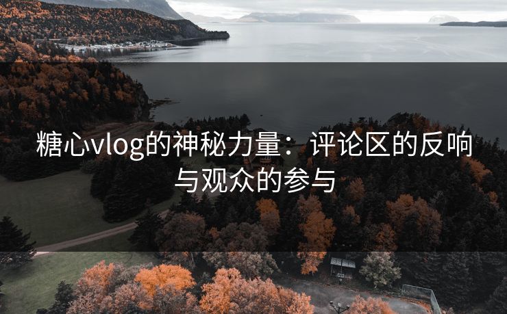 糖心vlog的神秘力量：评论区的反响与观众的参与