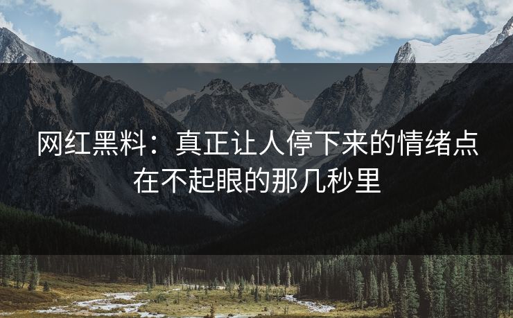 网红黑料：真正让人停下来的情绪点在不起眼的那几秒里